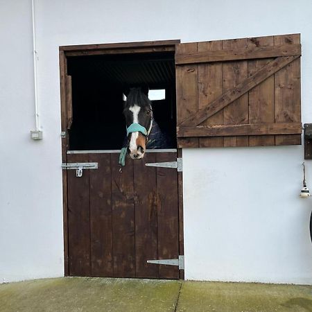 Apartamento Toddys Hideaway Cavan Exterior foto